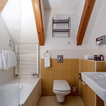 Charles Bridge Heritage By Salvator Apart Otel 4*